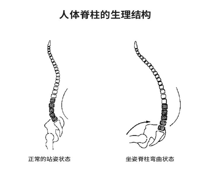 怎么选一把好的办公椅,如何选人体工学椅