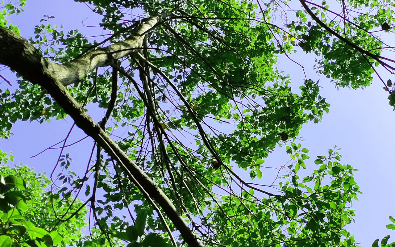 为啥会有对这个社会不满意的感觉,对社会失去感觉了怎么办