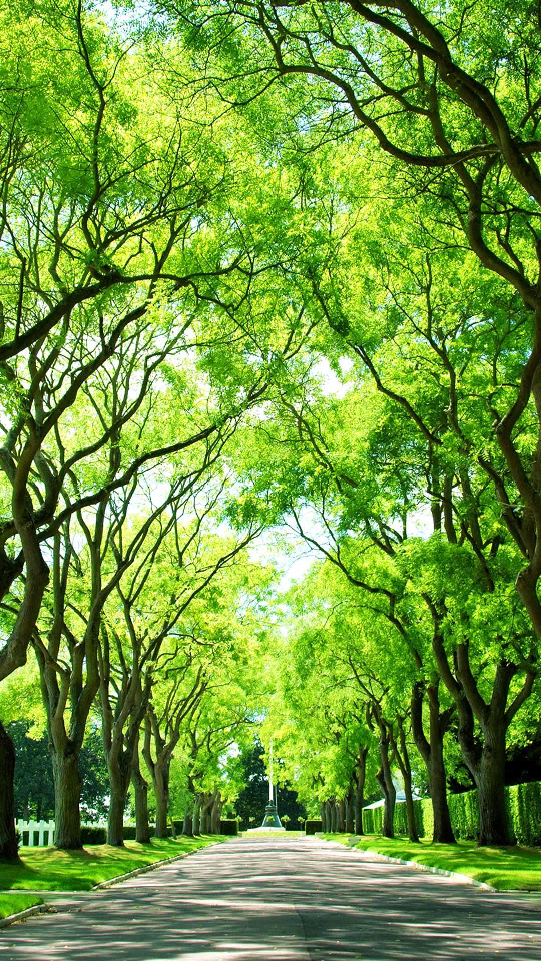 迪拜风光高清版大图,迪拜美景壁纸