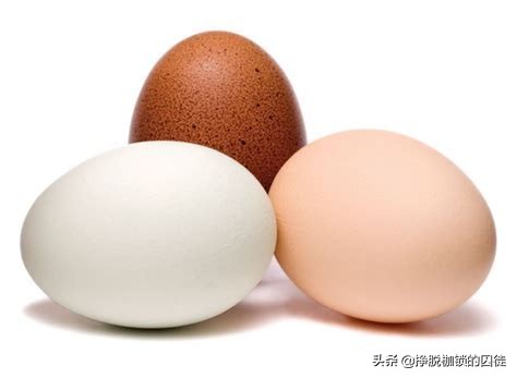 美国研究少吃饭增长寿命,美国研究饭量大小与寿命有关