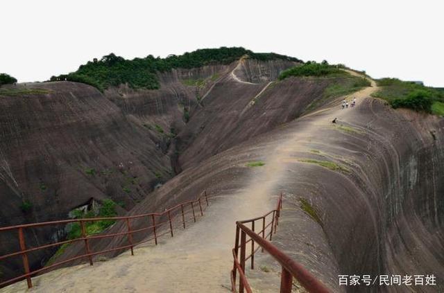 国美金融科技,国美金融信用贷