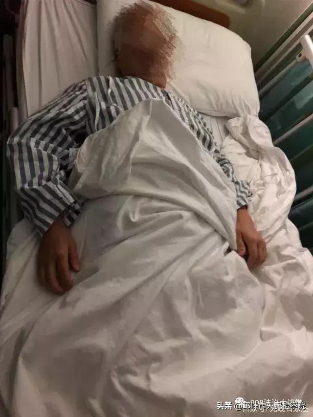 金毛咬死泰迪被打死后续,金毛咬死小狗被小狗主人打死