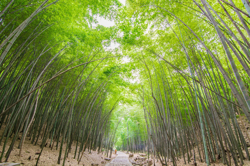 苏州最高山海拔,乾隆在苏州爬过的山
