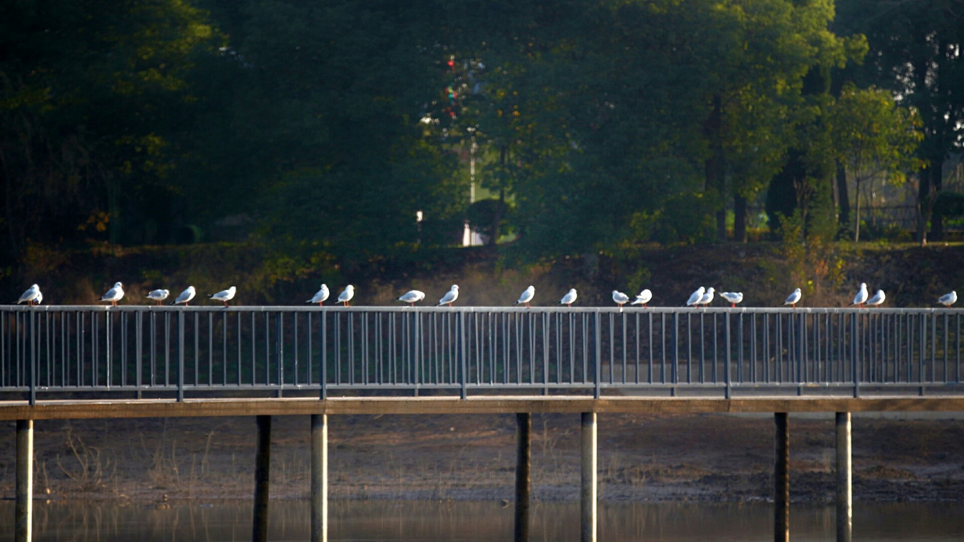 快来欣赏美丽的武汉江夏风景吧,武汉版马尔代夫免费景点
