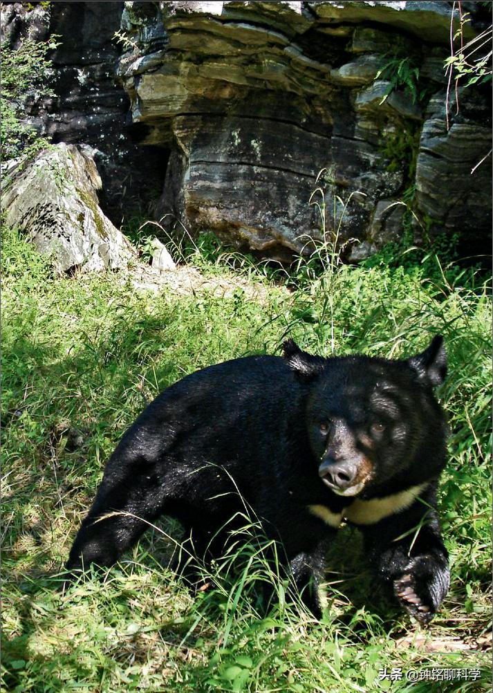 4名失联地质人员仍在搜救中,考察队员4人失联原因