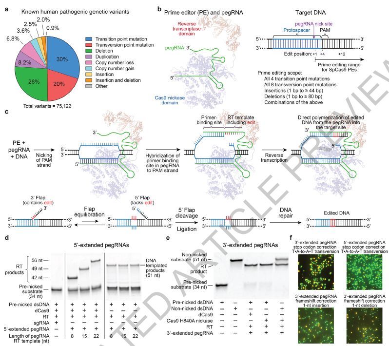 医学进步的里程碑,医学领域重大科技突破有哪些