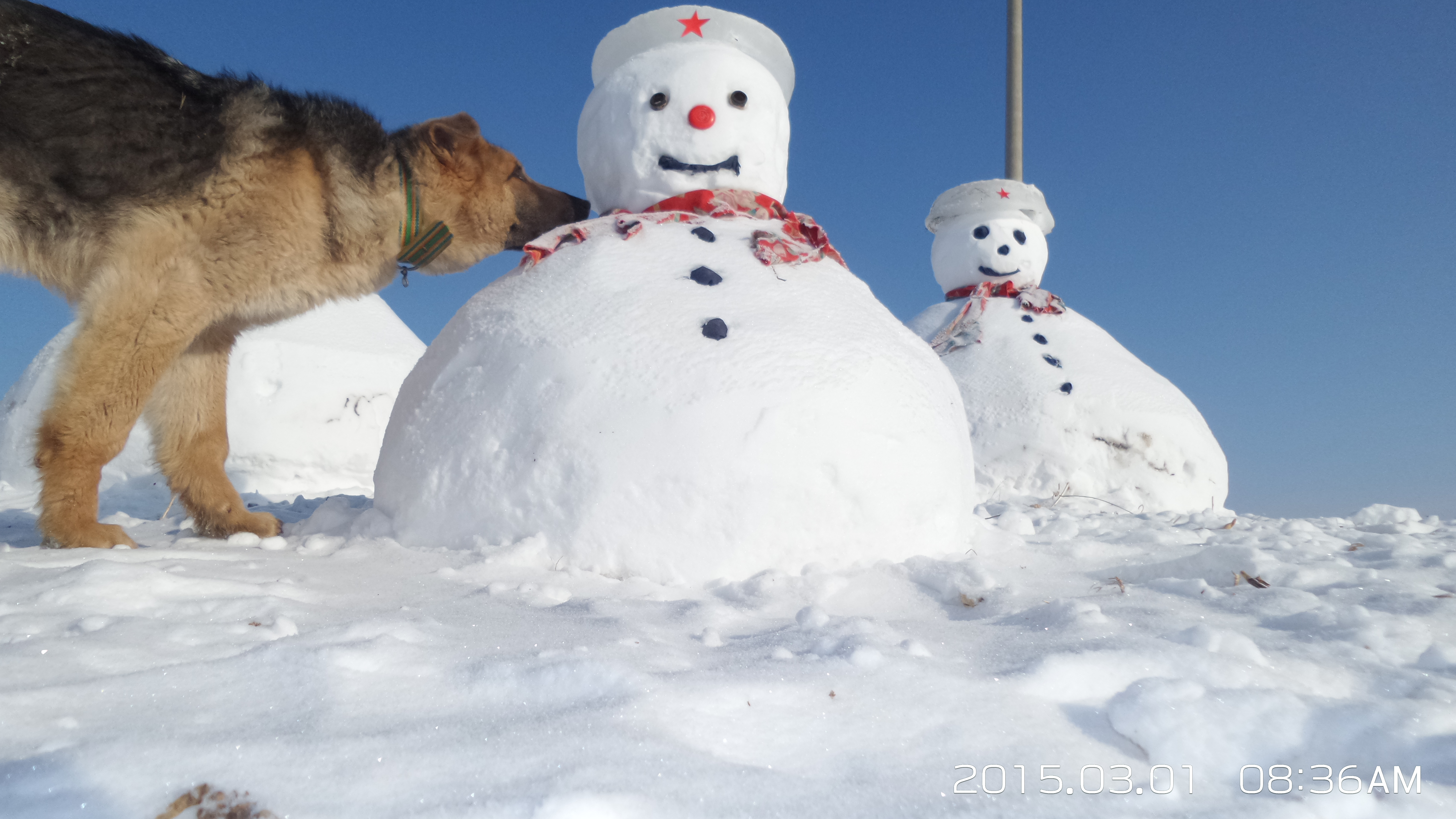 大山里的苦日子视频,你见过最苦的生活是什么样的