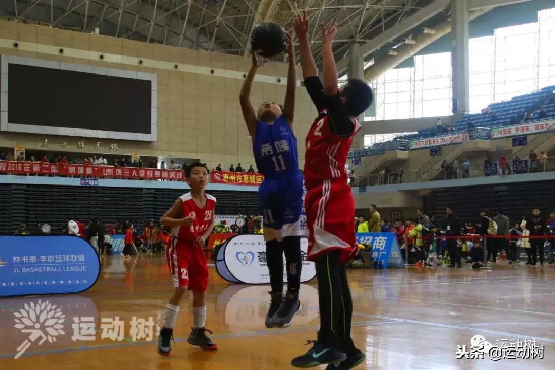 中国篮球名宿走进学校,中国篮球名宿26分