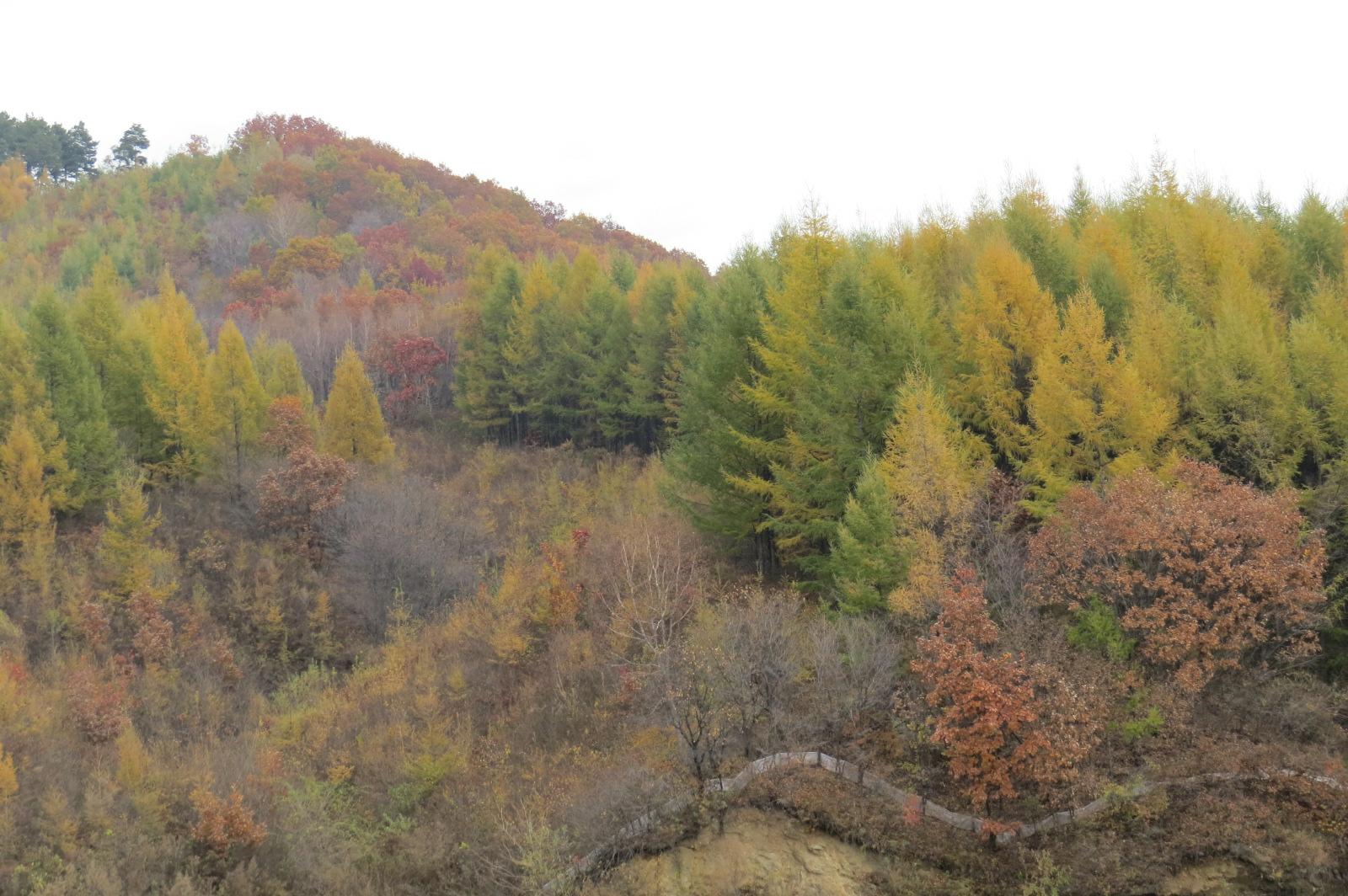 抚顺99座山峰游记,抚顺12座山峰
