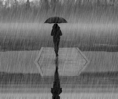 吴谢宇北大高材生弑母案,北大经管系高材生弑母