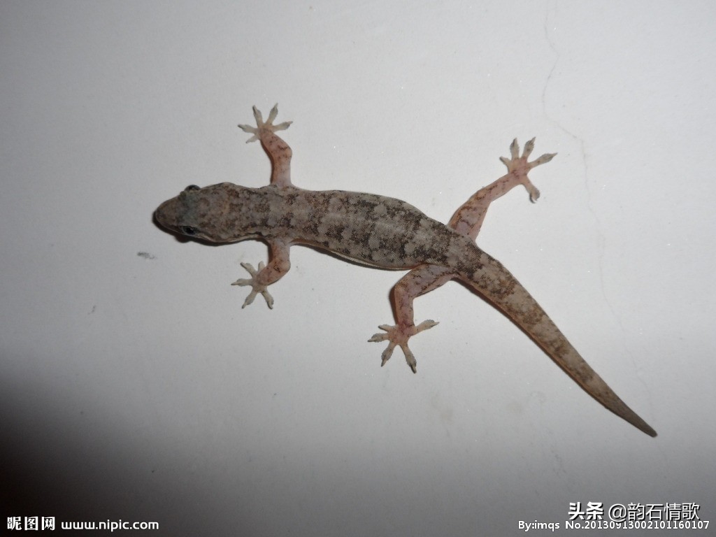 回忆离休干部父亲,回忆共产党员的父亲