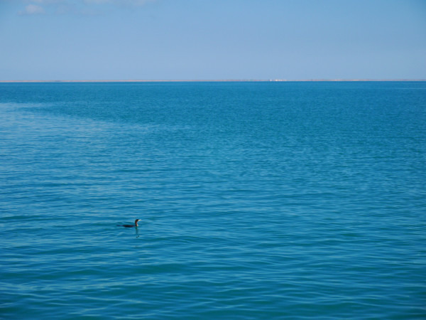 青甘大环线几月份去比较好,甘青大环线旅游跟团游旅行社报价