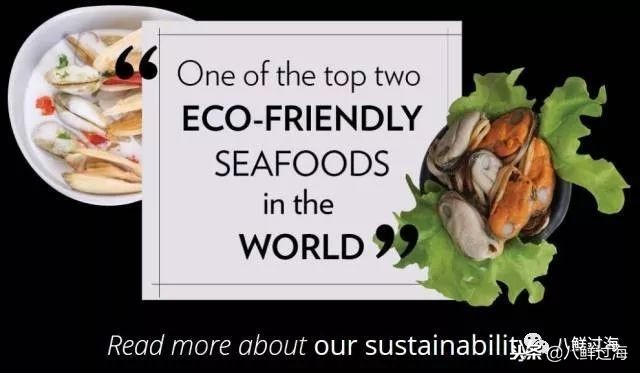 引入活青口贝、鲜帝王鲑,新西兰海产出口商的新生力量!