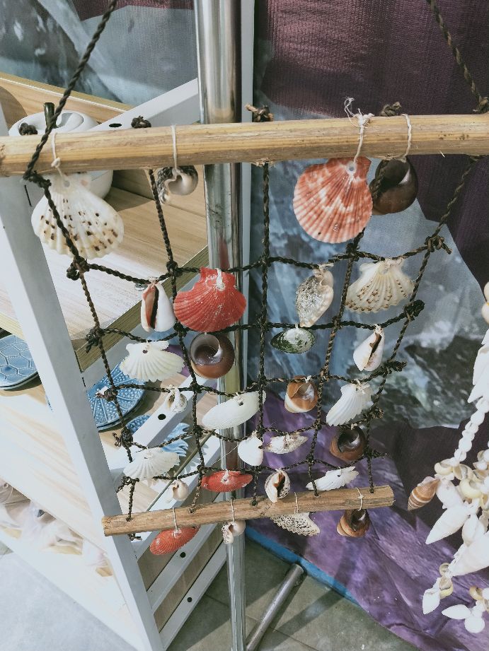 贝壳怎样制作,贝壳贴图手工作品