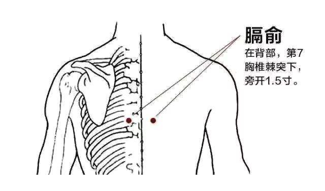 过敏体质艾灸哪些穴位,过敏体质按哪个穴位