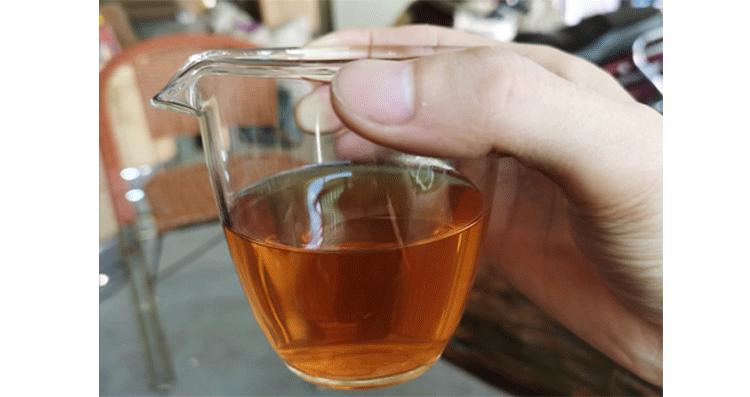 茶学专业太冷门教授有话说,茶学专业就业方向有哪些