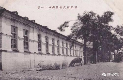 中国海军卫生院,清军北洋水师养病院