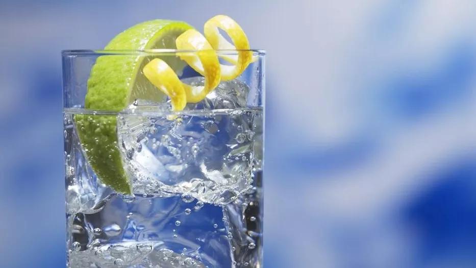 吉娃娃被气坏的视频,吉娃娃被气坏视频