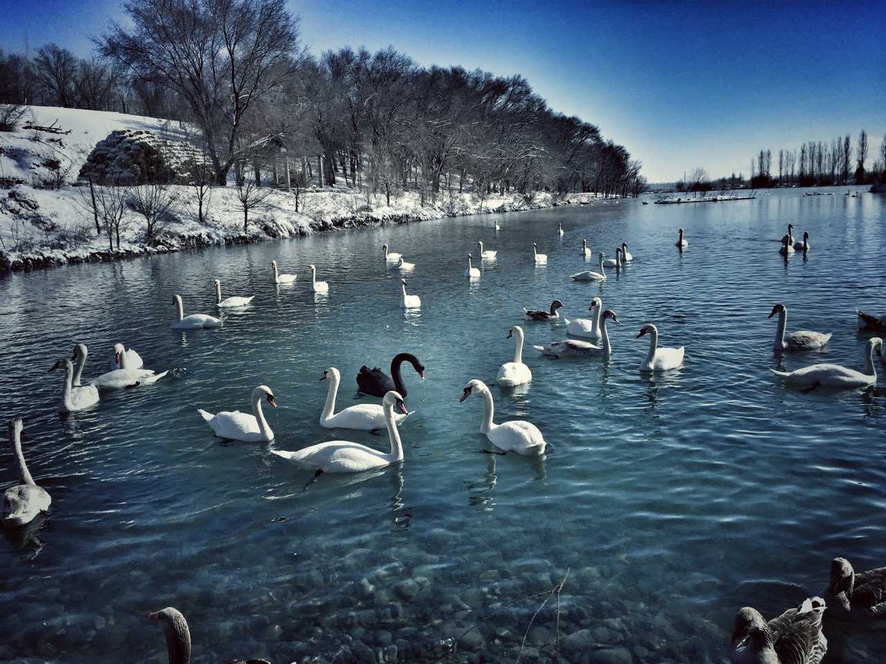 小说漂泊第四部,漂泊小说第三章