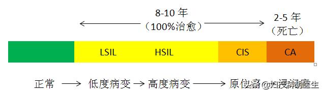 怎么看宫颈tct报告单,宫颈tct检查报告单是什么样的