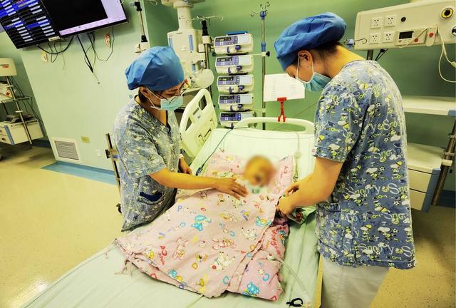 小区300多头狗被毒死,狗在小区被毒死是什么案件