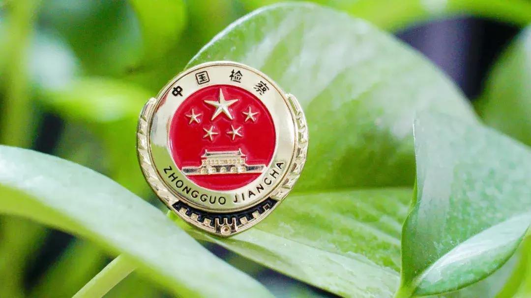 2020年假农药案判刑案例,假农药案中案