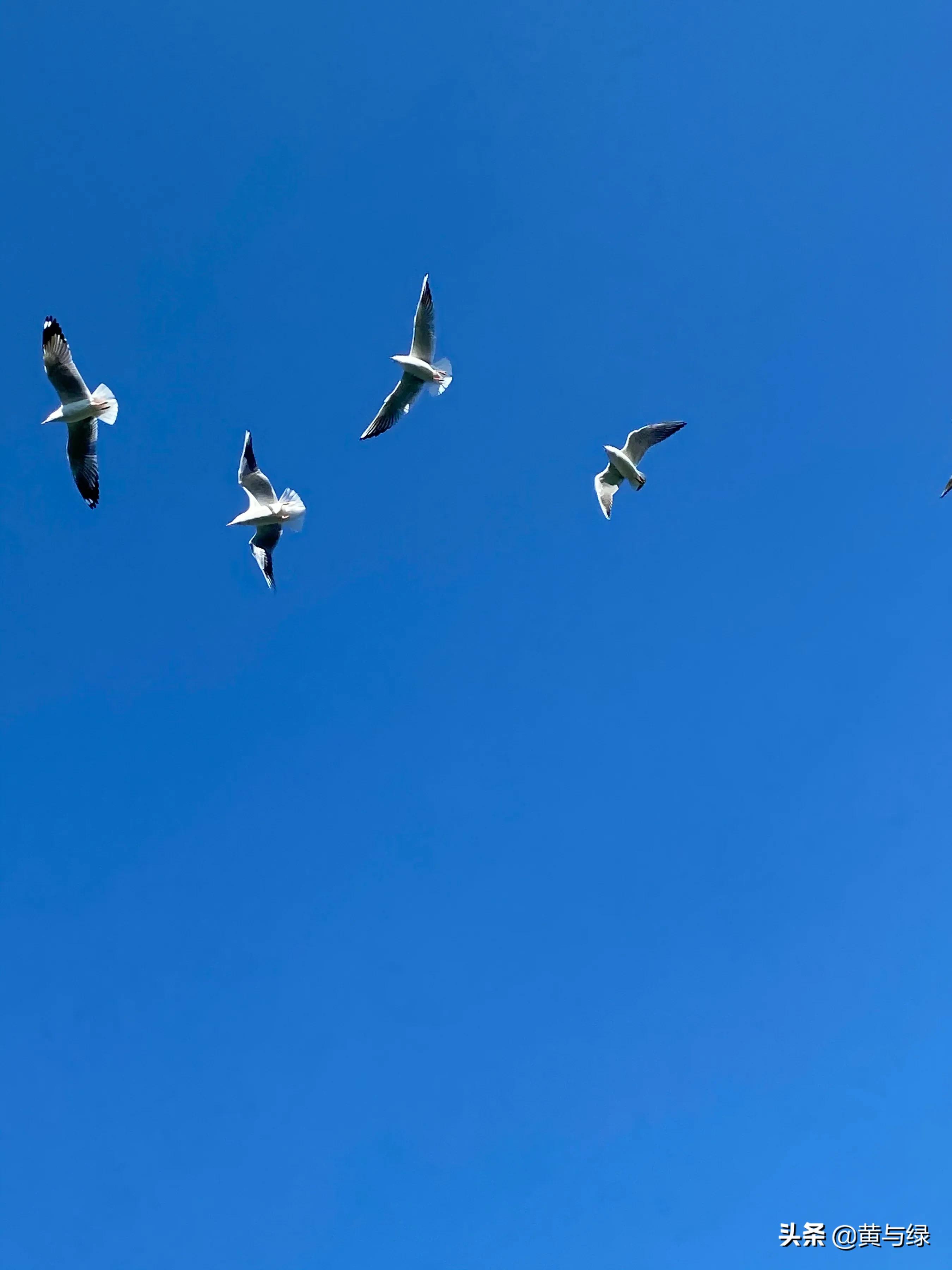 旅行：纯玩云南？先看看这个体验再决定