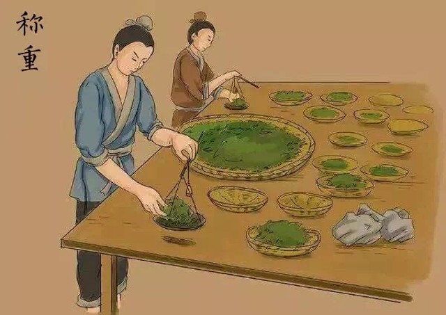 普洱生茶与熟茶哪个更适合入门,关于普洱茶生茶和熟茶的区别知识