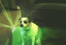 初学广场舞的诀窍是什么呀,广场舞大妈初学阶段