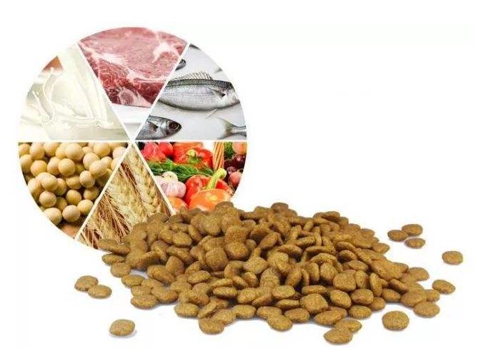 松狮犬要多少元的狗粮,松狮犬吃什么狗粮好一点