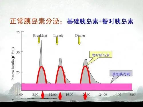 什么是胰岛素泵全闭环,什么是胰岛素泵基础率