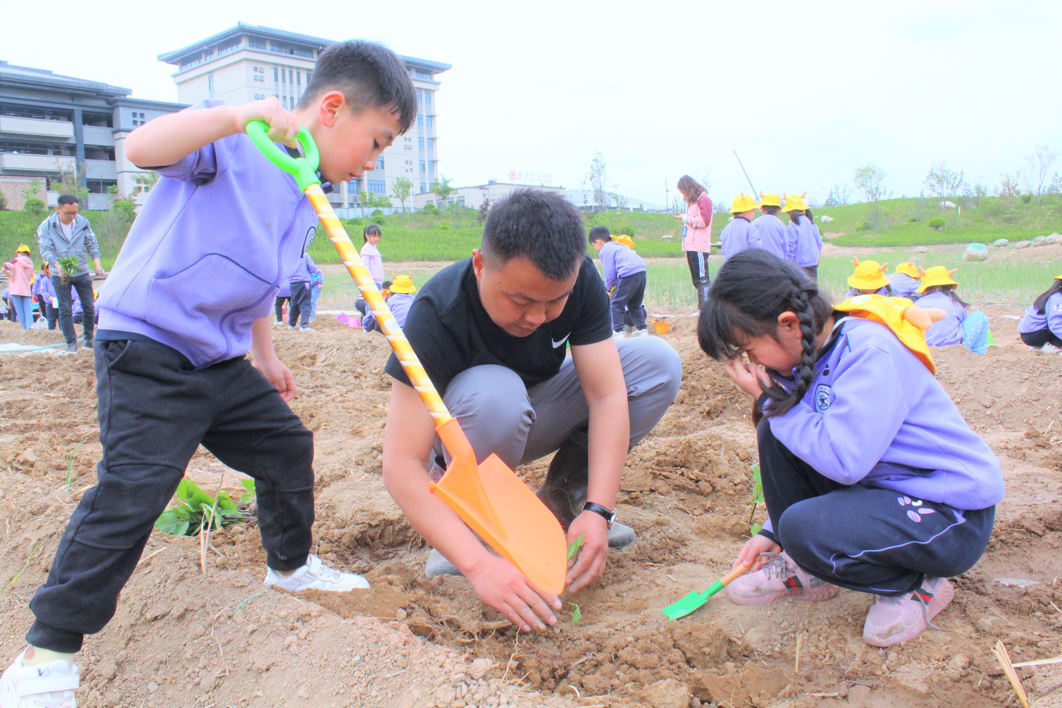 西安交大韩城学校幼儿园2022年,韩城西安交大幼儿园