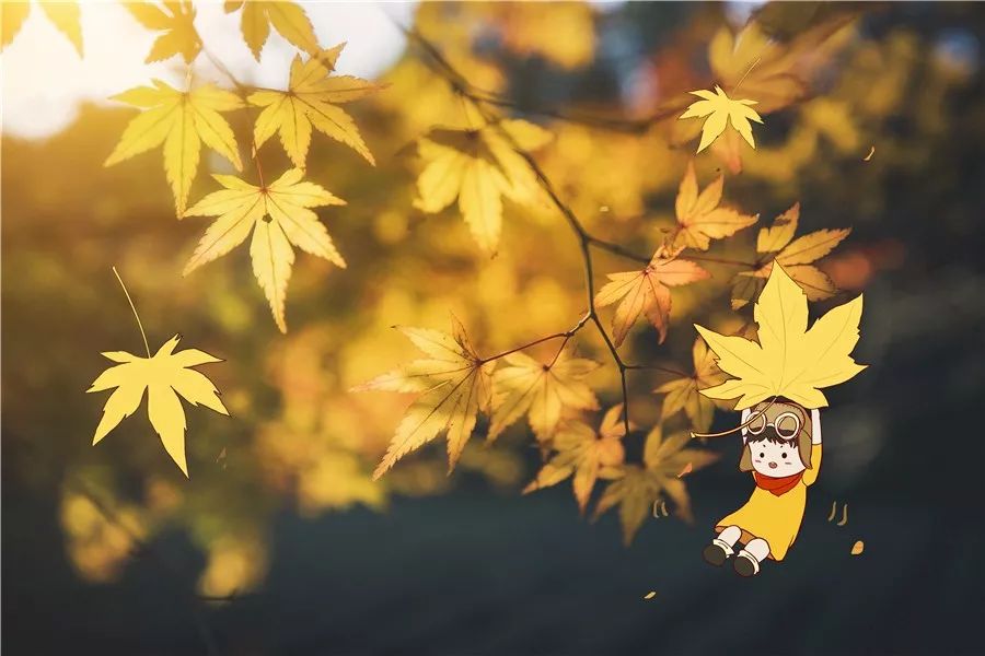 小学常考作文之排比句素材集锦,小学语文作文常用排比句子