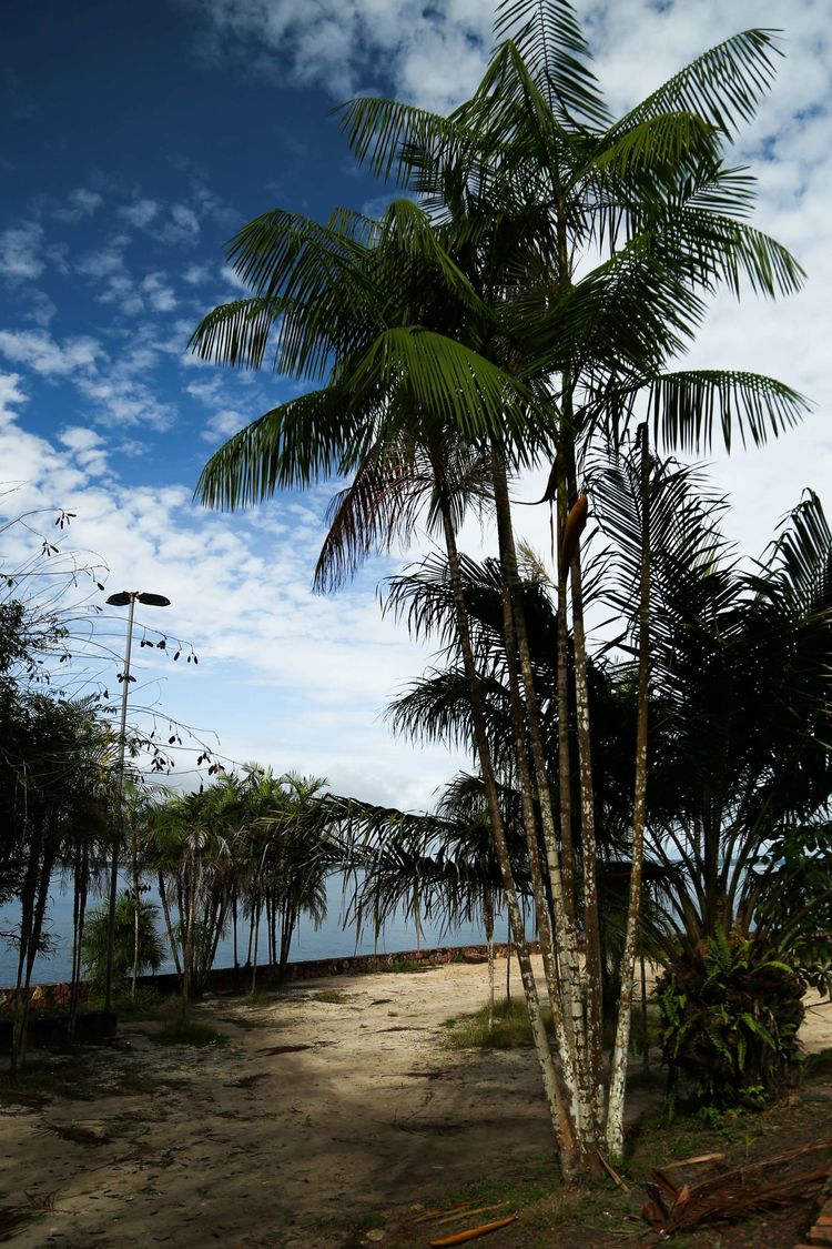 南美之旅总结篇,南美之行结束感悟