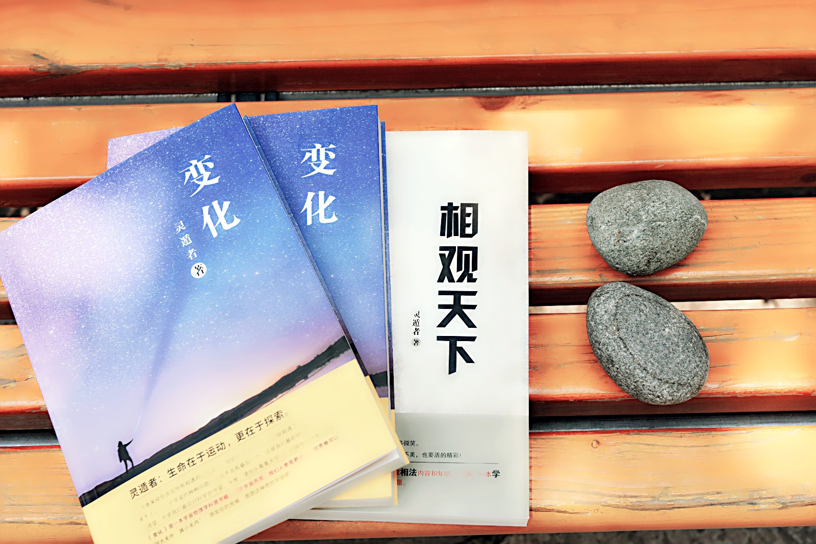 灵遁者小说:流氓式的爱,让你明白什么是爱的选择!