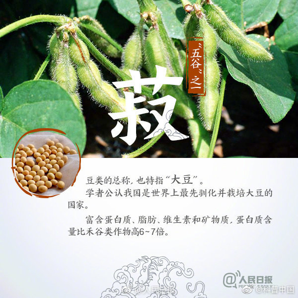 五谷杂粮最养人,五谷怎么吃最养人