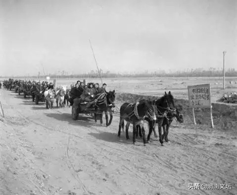 张会民老师作品欣赏,张会民歌曲