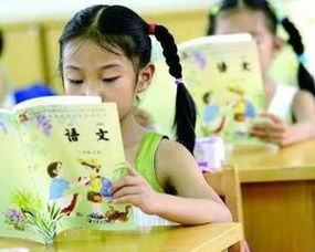 语文是什么诗歌,语文是中国的吗