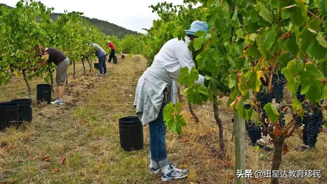 489转887辛辛苦苦待在偏远地区，PR却被拒签