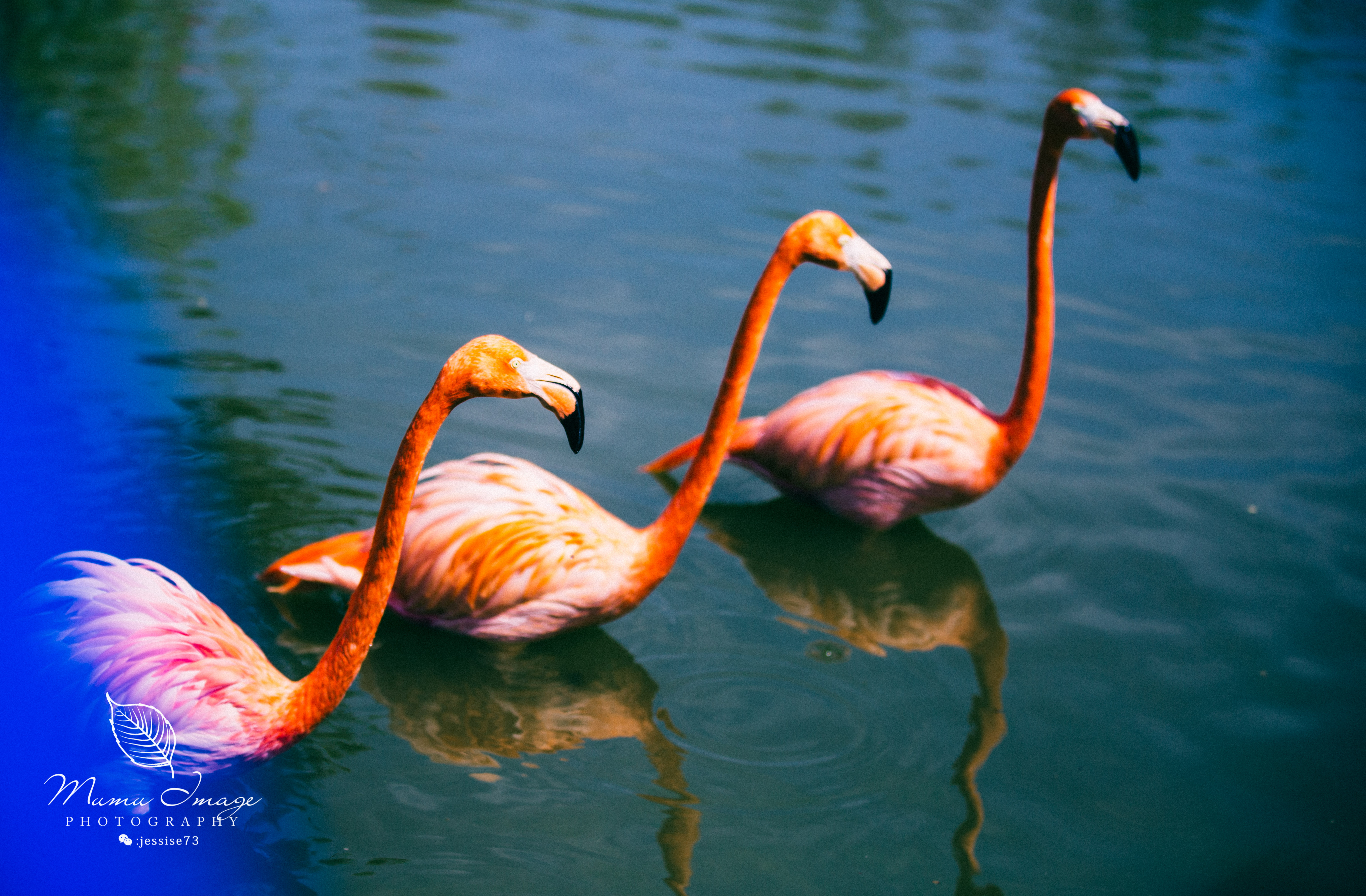 扬州是个不花钱的公园,扬州本地人最喜欢去的公园