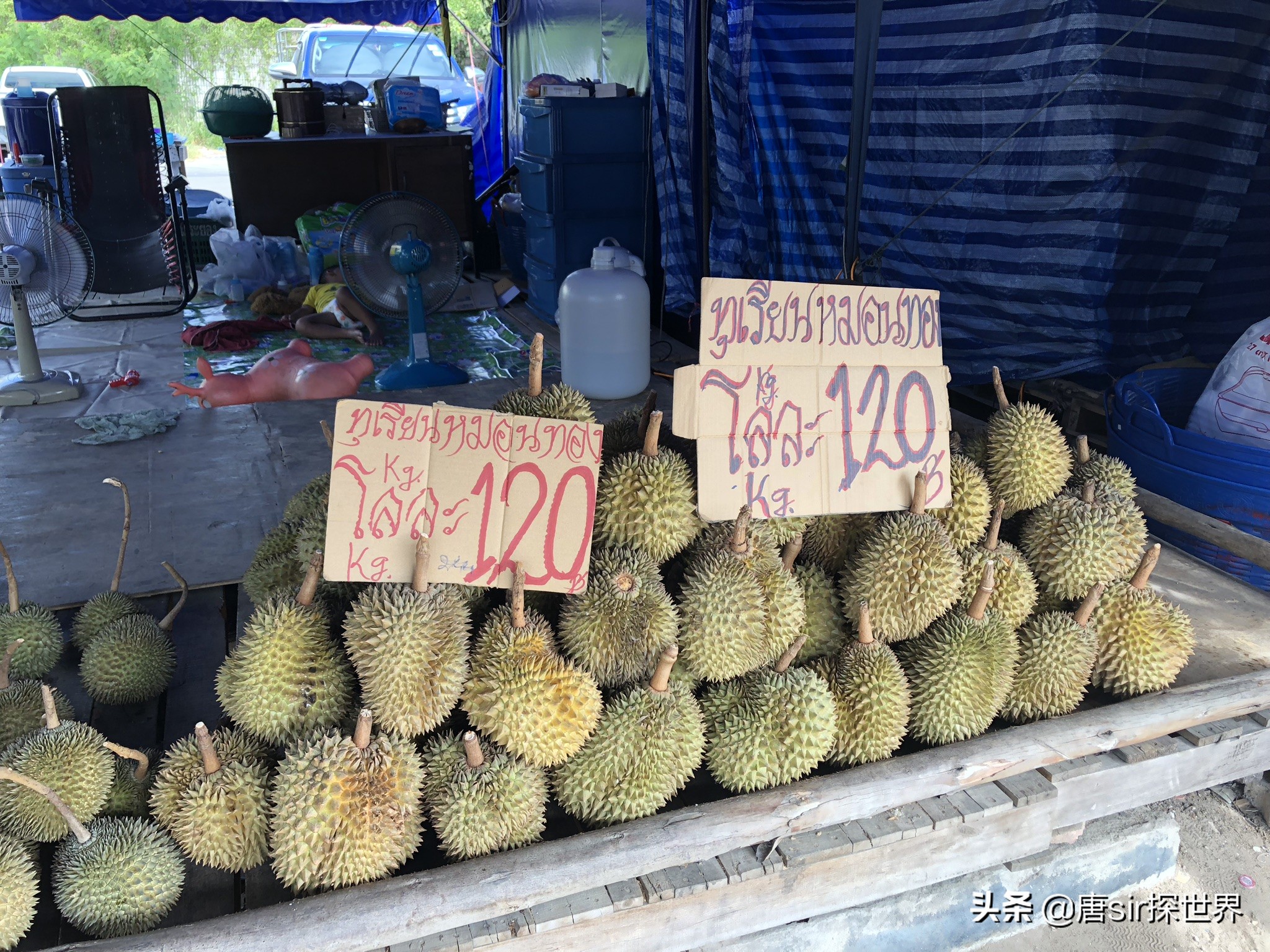 遇见芭提雅的图片,迷茫的时候来芭提雅