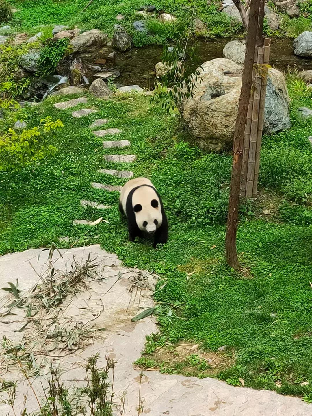 神农架攻略书,重庆出发神农架三日自驾游攻略