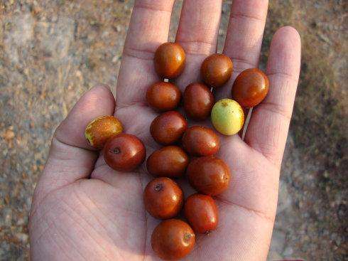 80后经典怀旧零食有哪些,80后怀旧零食大全视频