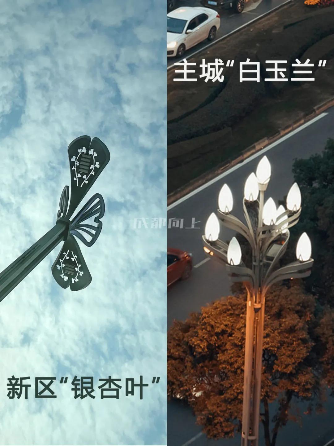 东部新区与天府新区,东部新区和天府新区