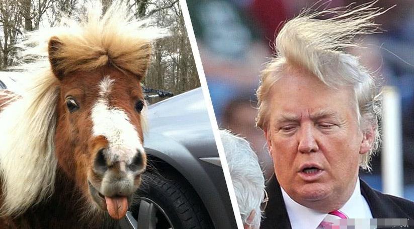 明星撞脸不可怕性别不同就尴尬,意想不到的明星撞脸