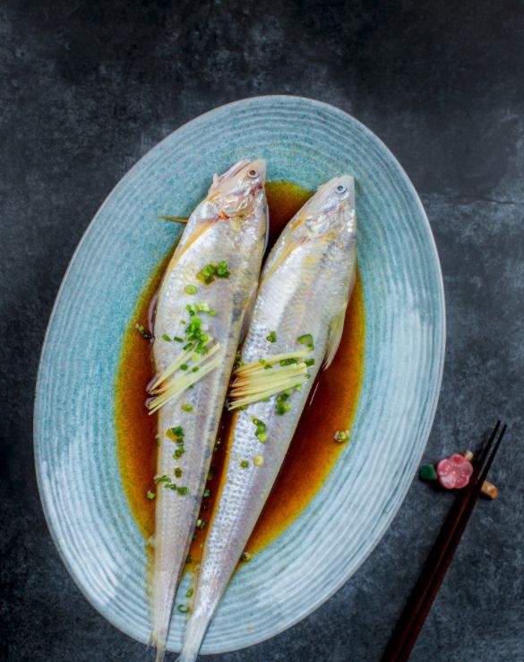 鱼儿食欲怎么样,鱼儿是怎么吃东西