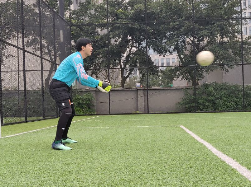 成都文旅熊猫馆直播,成都文旅官方直播