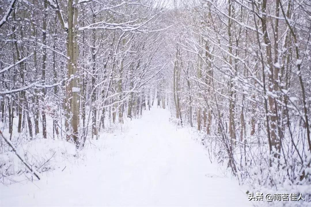 碎玉坠琼芳，流年忆甜柔
