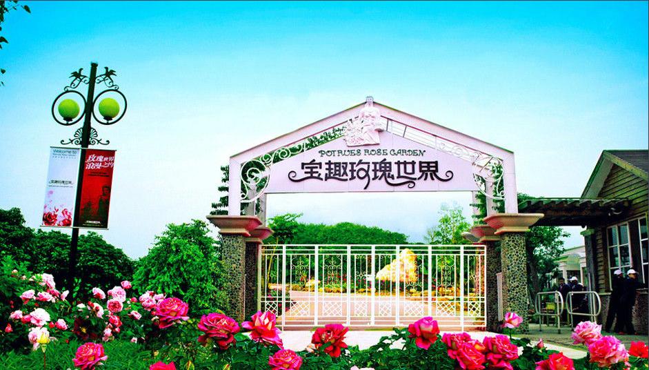 宝趣玫瑰世界实拍,宝趣玫瑰世界攻略