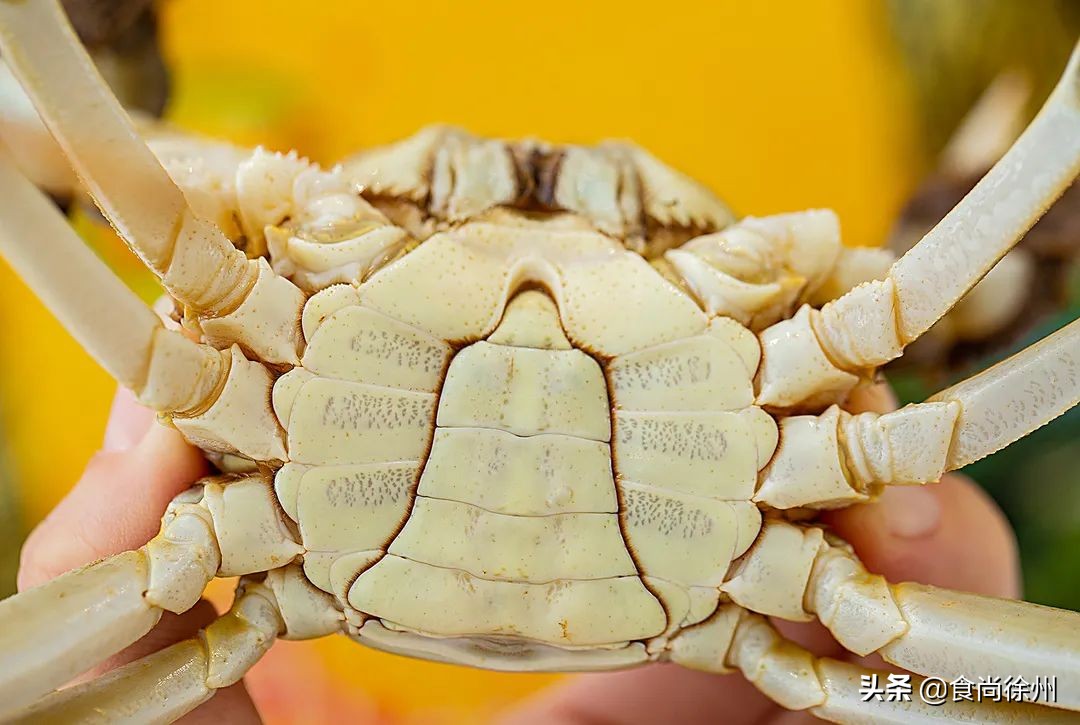 吃阳澄湖大闸蟹地方,吃阳澄湖大闸蟹的最佳地方在哪